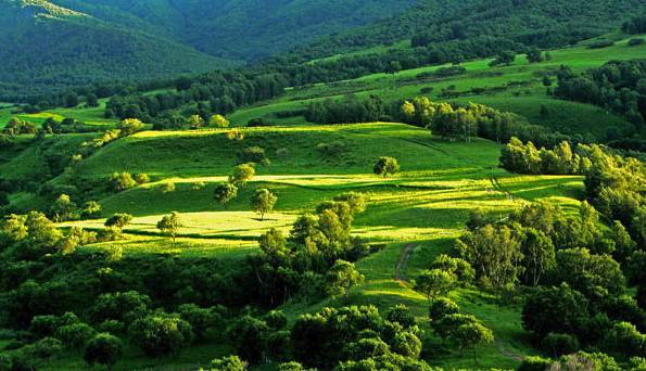 国产精品酒店一区二区 国产让你感觉不像在住酒店