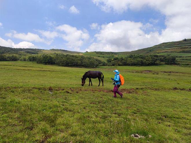 黑料网络网站 黑料大量内容缺乏上下文