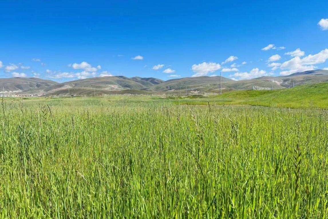 黑料网络网站 黑料大量内容缺乏上下文