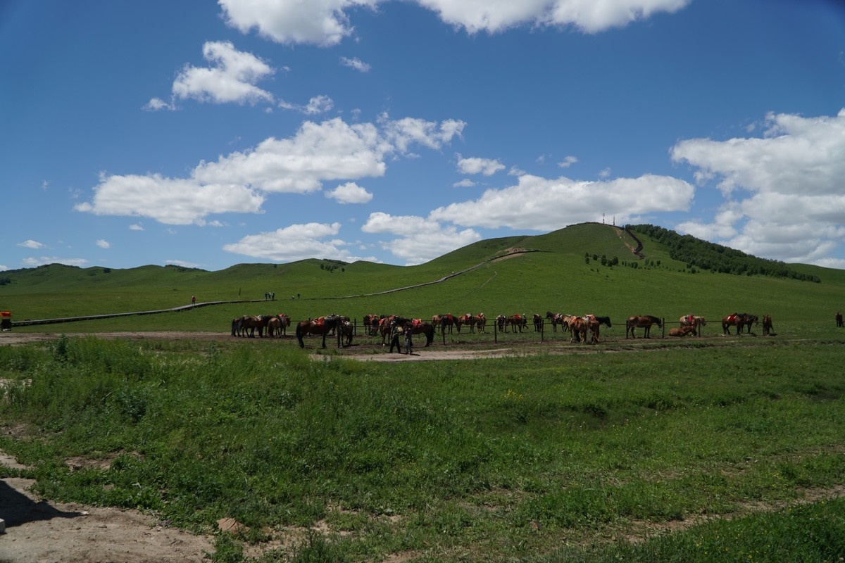 锅炉房的系花丁婷1全文 我非常乐意为你提供帮助