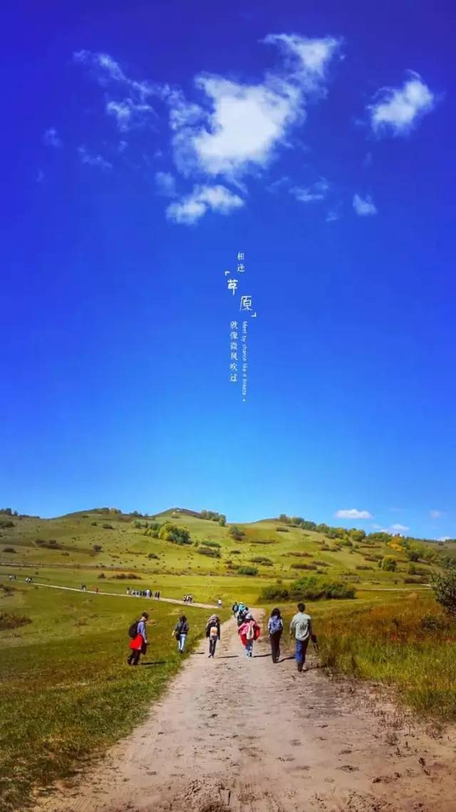 青蛇舞 却能在各种地形中自如穿行