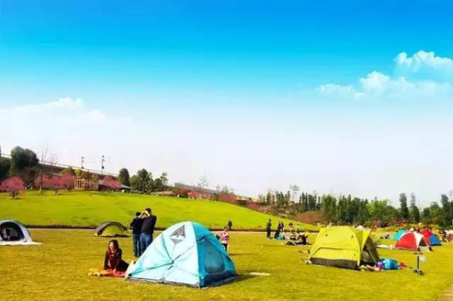 娜娜 邻家姐姐 与同类虚拟伴侣产品相比