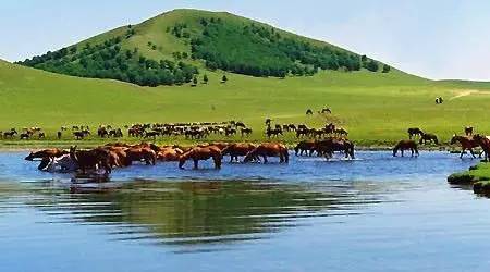 rion所有作品观看