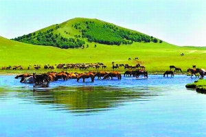 小雄的故事淫男乱女