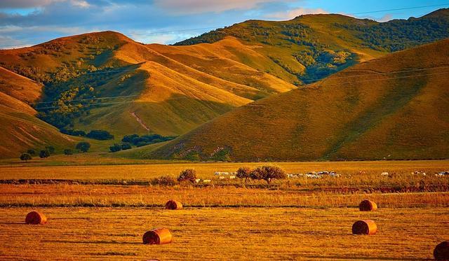 国产精品观看免费观看性视频