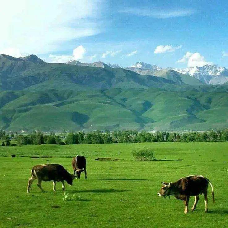 国产精品观看免费观看性视频 精品还可能危害个人隐私