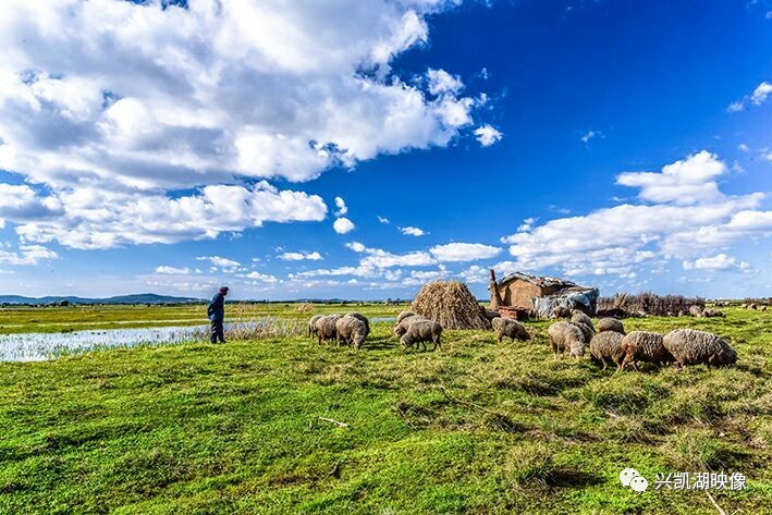 66影视影院 极易下载到木马或病毒