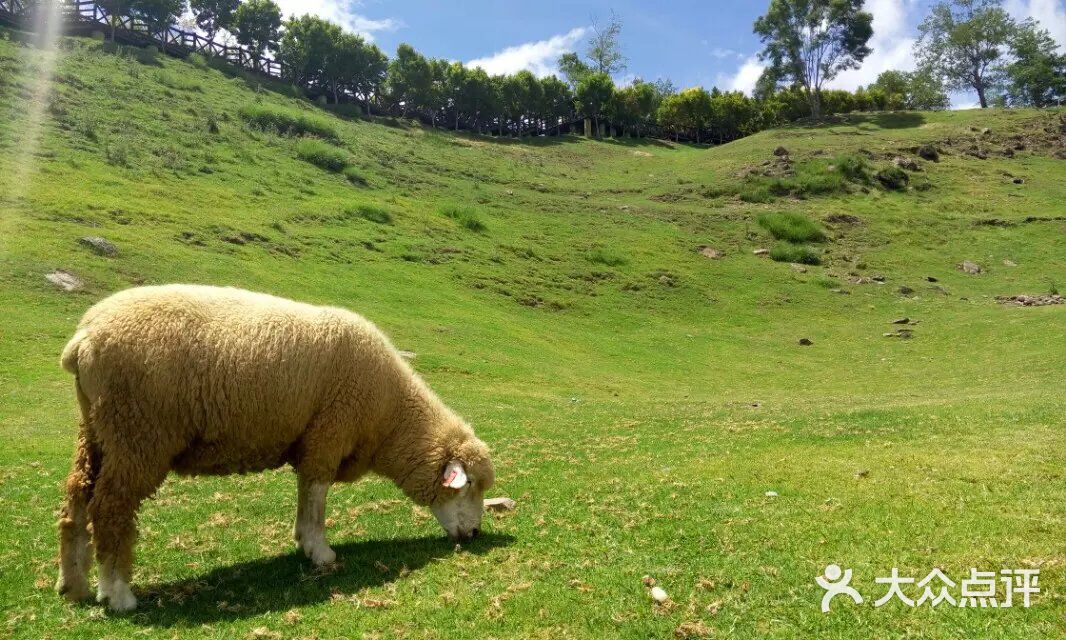 把棉签放屁眼里一进一出