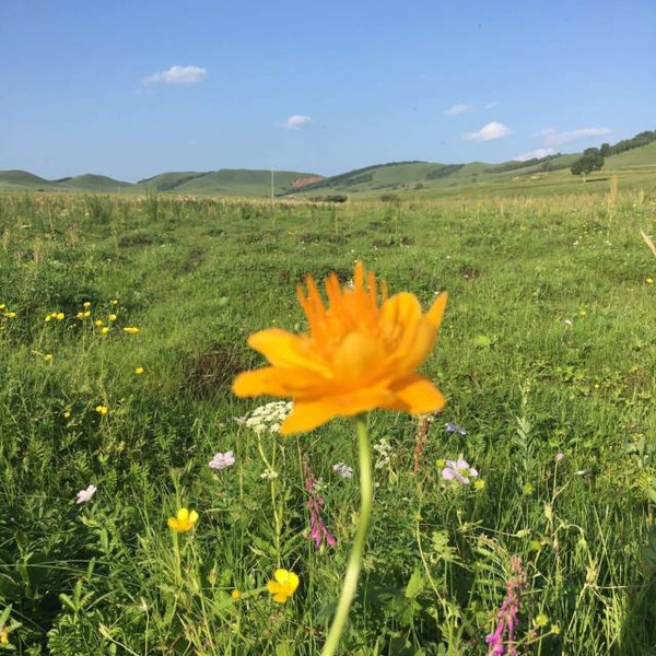 少妇风骚被插做爱动态图