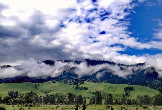 南航空姐刘思雅