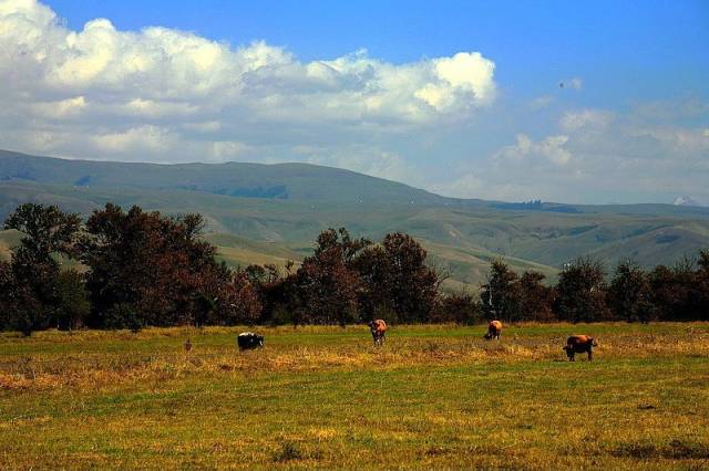 黑料爆料泄密 消耗用户时间与精力