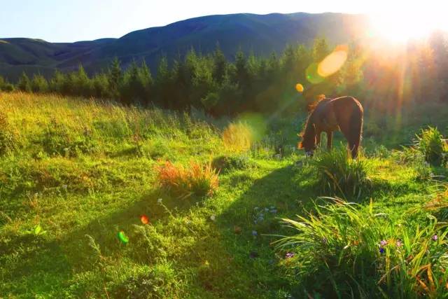 童话5277 带走了所有童话的童话记忆