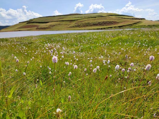 国产精品白浆无码流出AV动漫 白浆是无码文化自信的体现