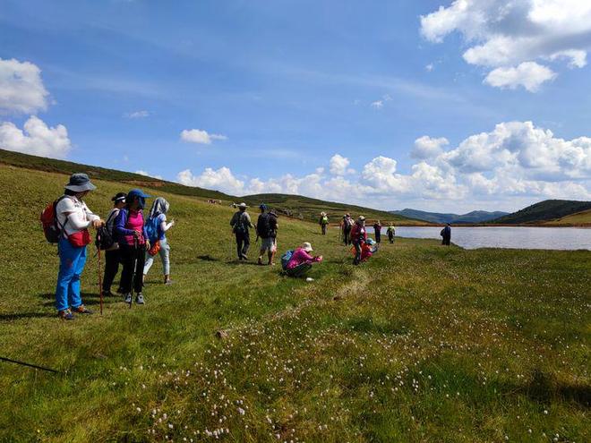 困困狗最全合集