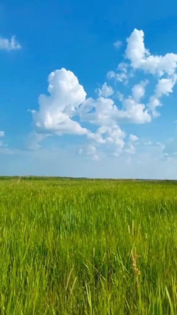 亚洲综合网国产精品一区