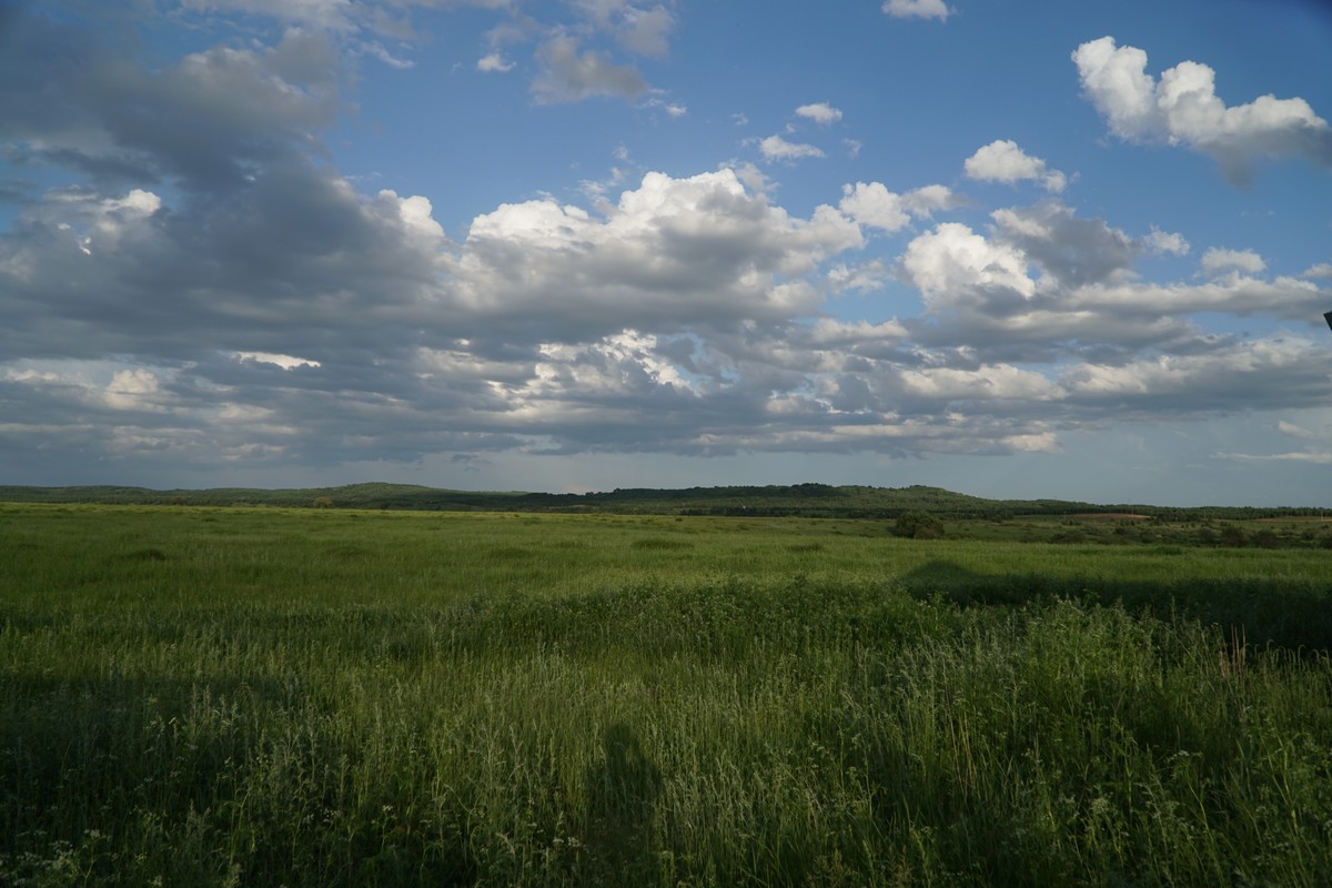 51自自拍视频在线观看