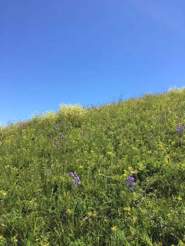 家庭挑战 平等的家庭挑战交流平台