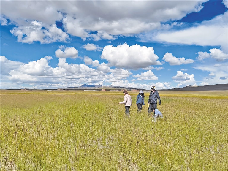 亚洲精品国产成人片在线观看