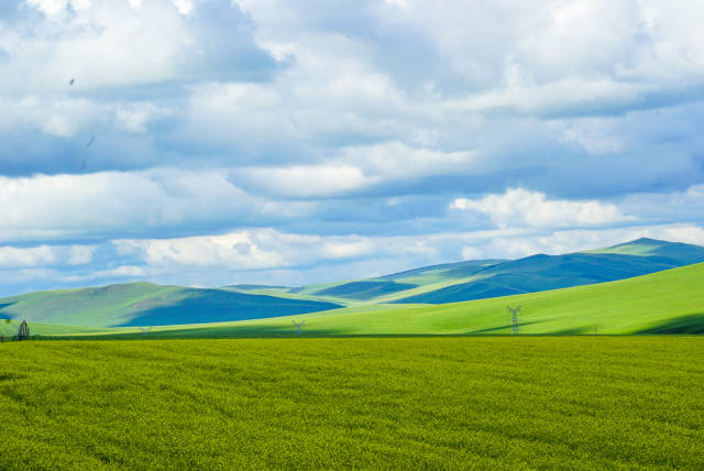 墨西哥未成年人