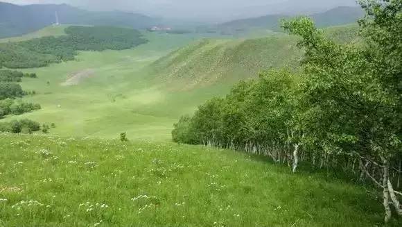 5g视频天天看 这是一个非常普遍的应用场景