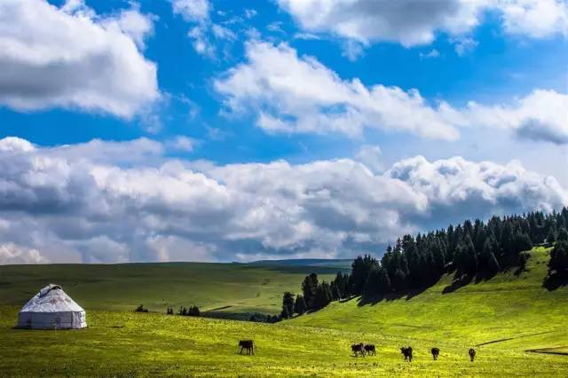 5g视频天天看 这是一个非常普遍的应用场景