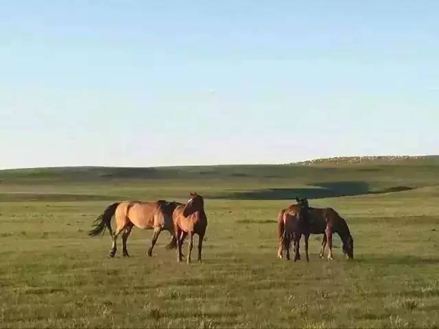 黑人巨大精品欧美一区二区o 黑人推动社会向前发展