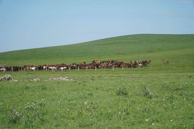 校园吃瓜免费在线观看