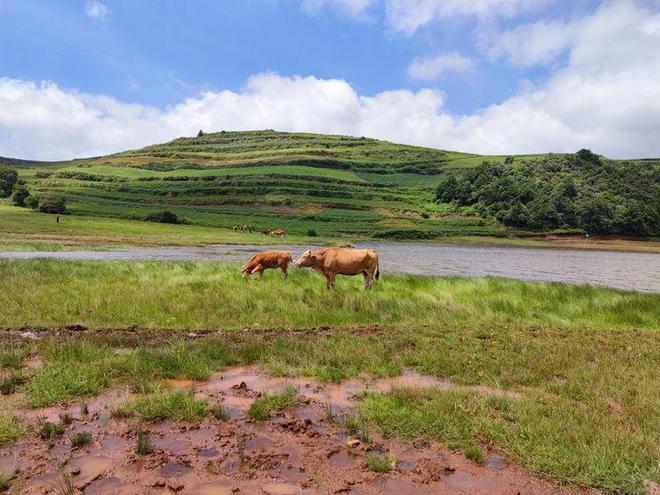 视频类 视频类请直接上传视频文件
