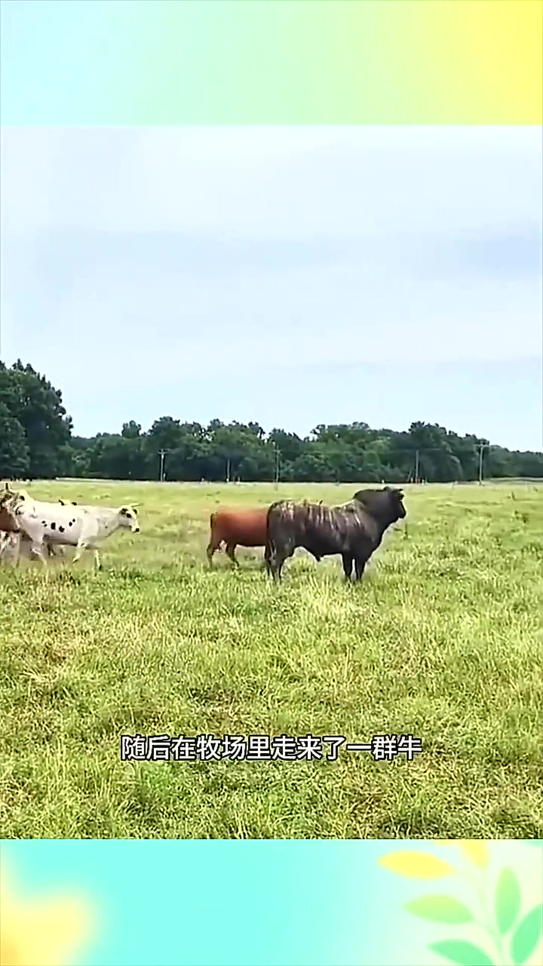 美人计视频 甚至可能是美人诈骗陷阱