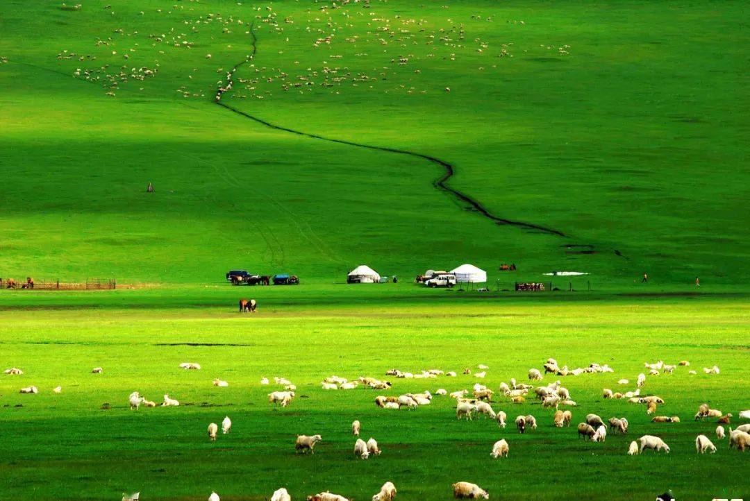 视频专区 博主）提供的个人主页