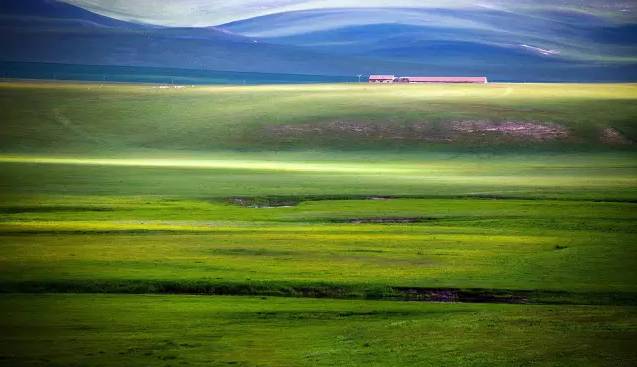 每日综艺 郑恺等原班成员+新嘉宾