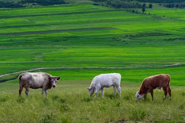 啦啦啦WWW免费高清 啦啦啦这比很多付费平台还快