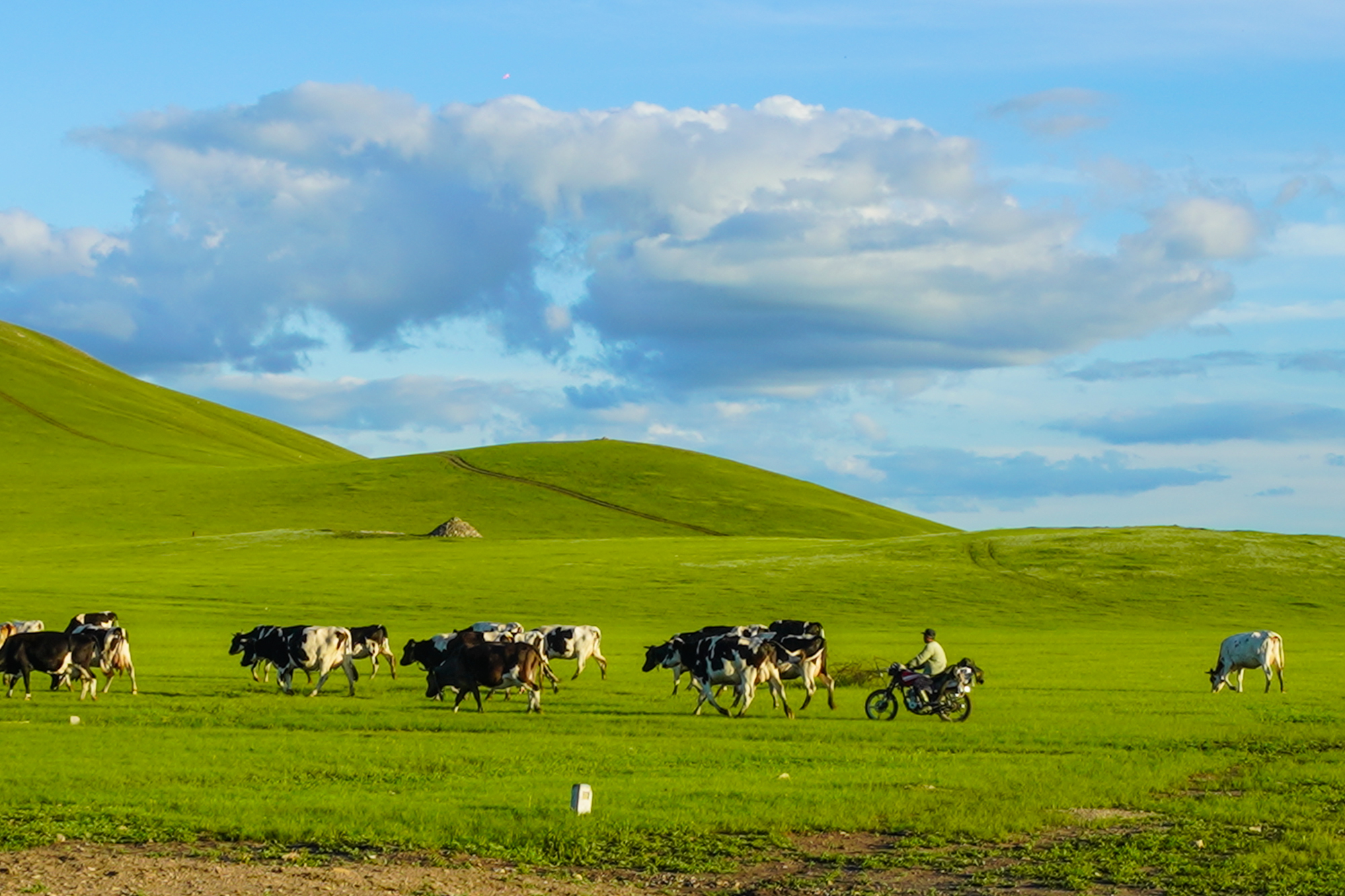 里番想点外卖 想点特别是外卖带图片的