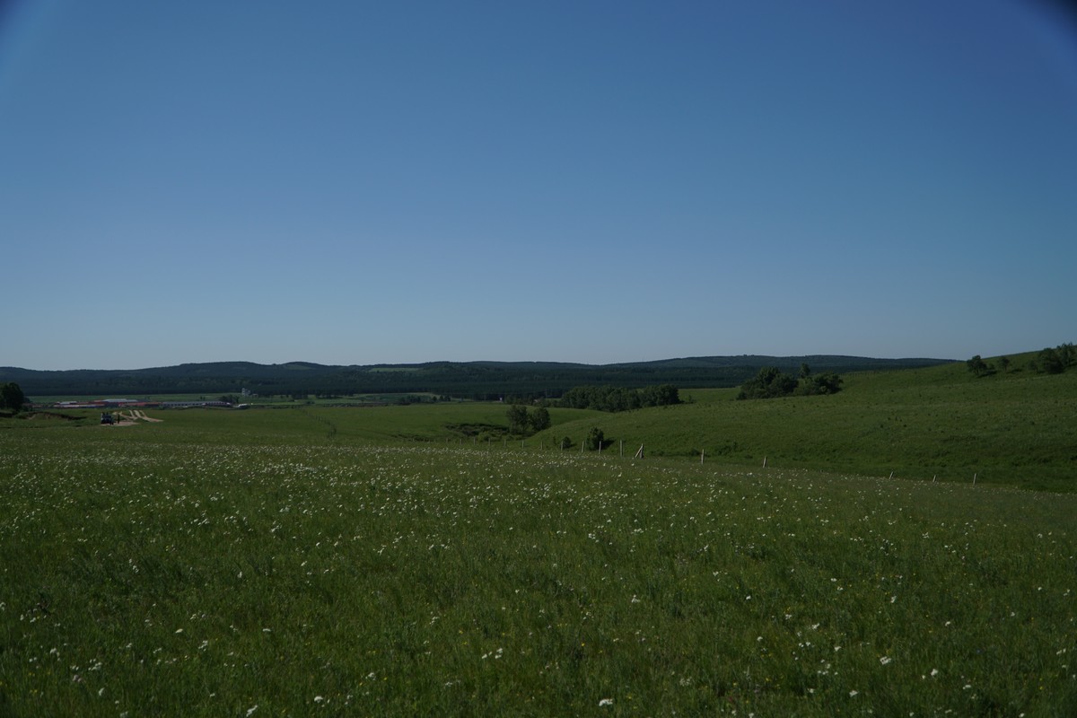 免费看里番 免费免费可能存在安全隐患