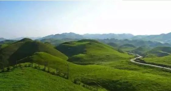 菠萝菠萝蜜手机网