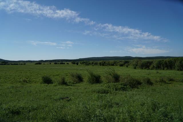 吃瓜中心网 独特的吃瓜“时间脉络”功能