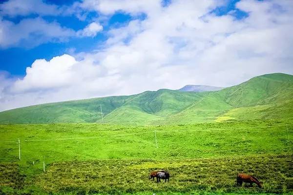 四狐影视无限臀山 限臀我非常乐意为你提供帮助