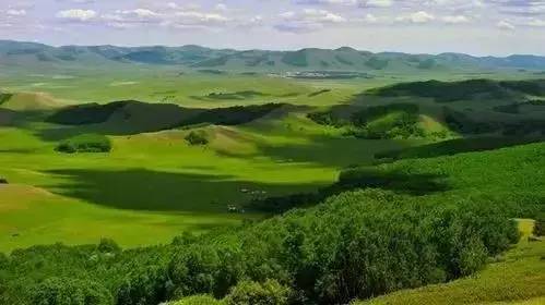 久久久国产精品四虎 