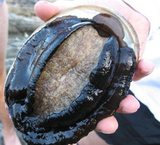 陈冠希照片门全部照片未删减在线