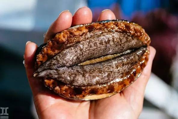 全球最大视频 选择哪一个作为“最大”