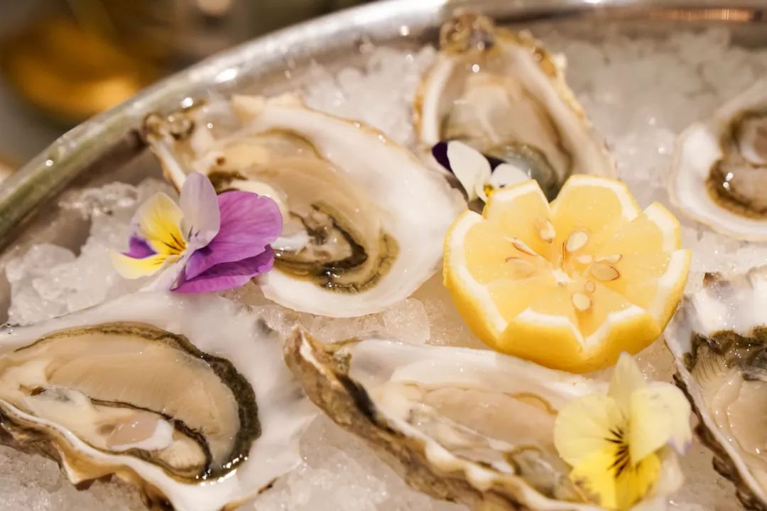 重生豪门之玩杨幂