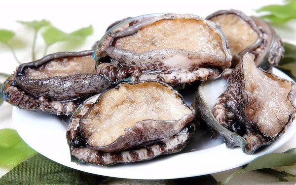 火影电影 火影电影目前仍在前期筹备中