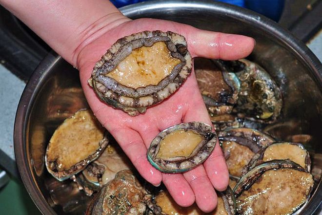 火影电影 火影电影目前仍在前期筹备中