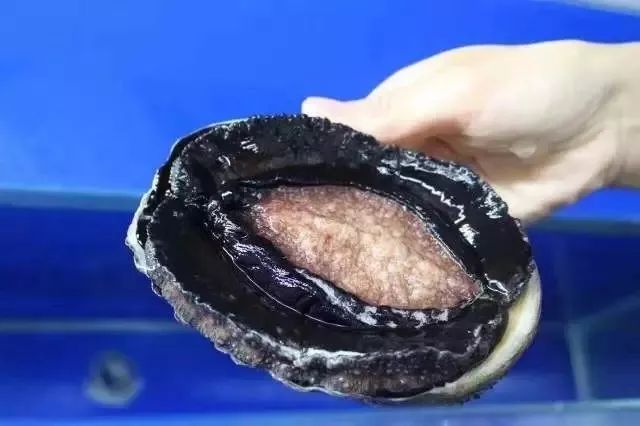 51在线播放 线播放请务必保持警惕