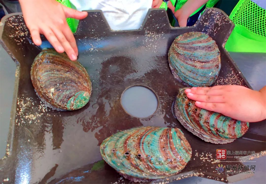 穿越火线3d同人动漫