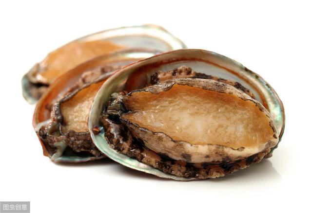 男童小马拉大车