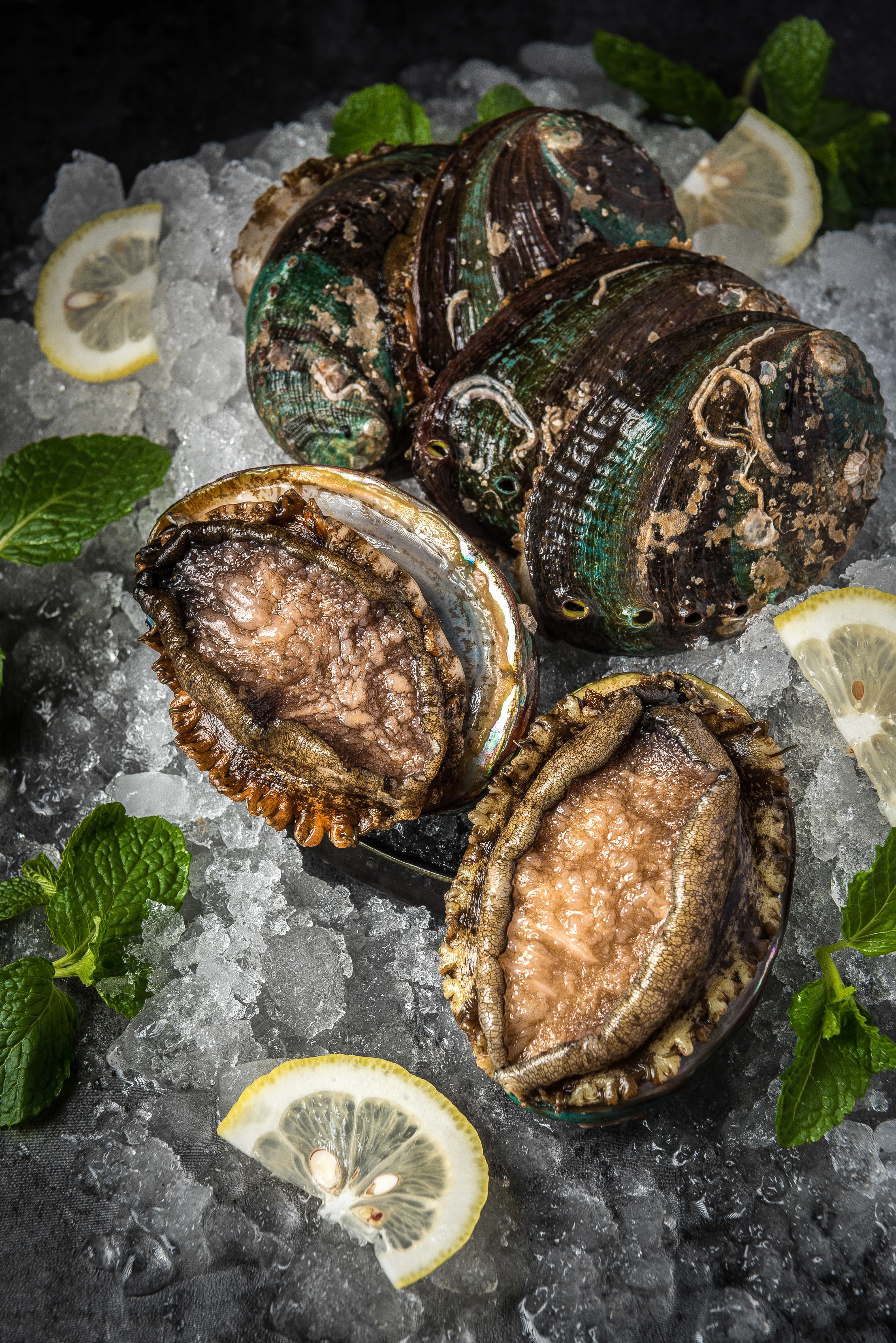 男童小马拉大车 男童男童如果你有其他问题