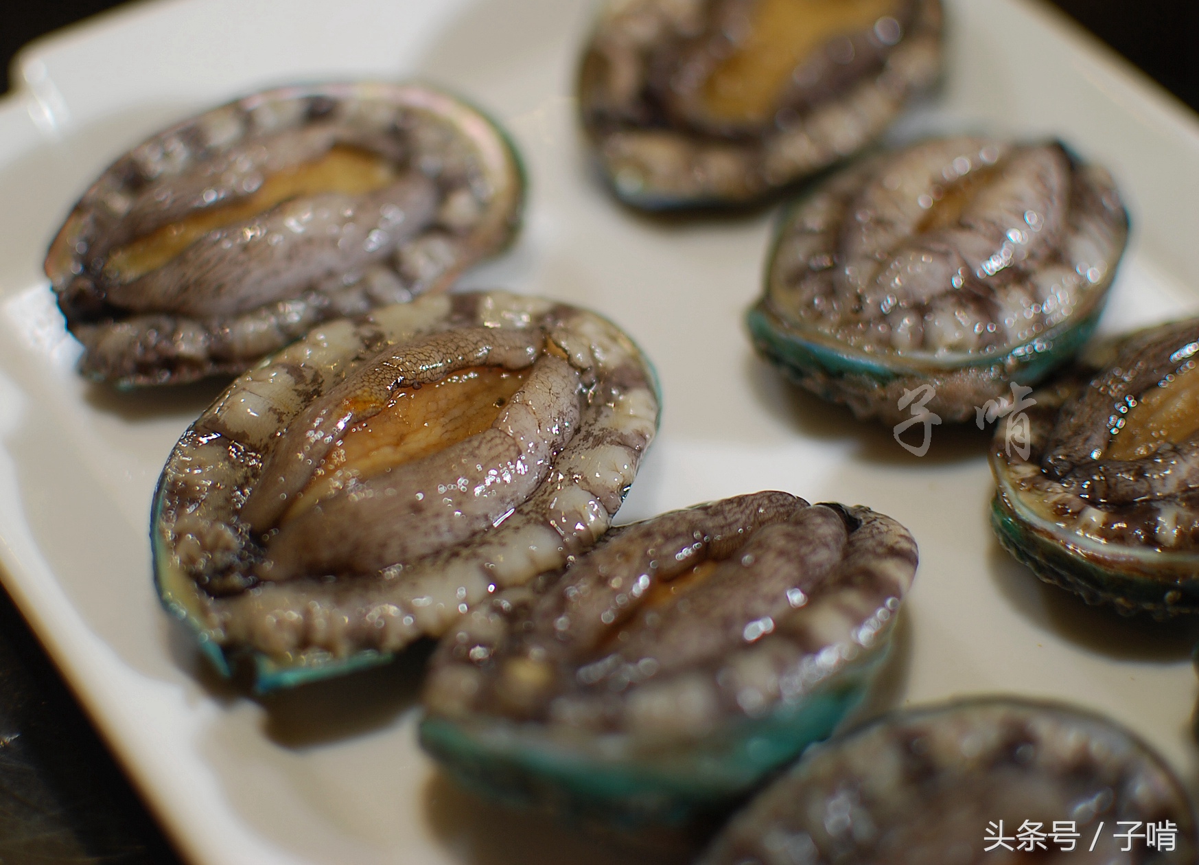 对话主题：[对话] 当我们发现人类决策的底层逻辑可能只是量子层面的随机涨落时，司法体系中的'个人责任'概念是否需要被彻底重构？ 当我们发现人类决策的底层逻辑可能只是量子层面的随机涨落时，司法体系中的 即一个人因其自由选择而犯罪