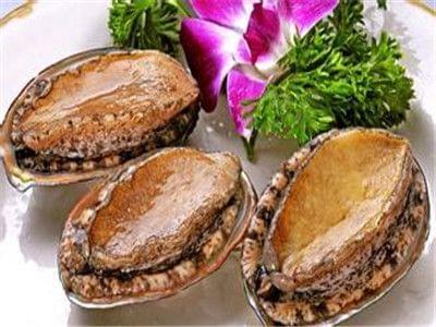 国产精品久久久久精品一级APP 国产这款APP严格保护用户隐私