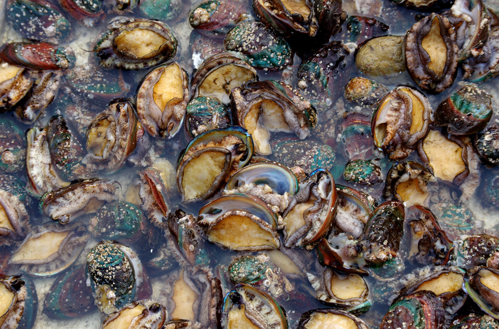 gtv下载安装链接 与官方应用商店相比